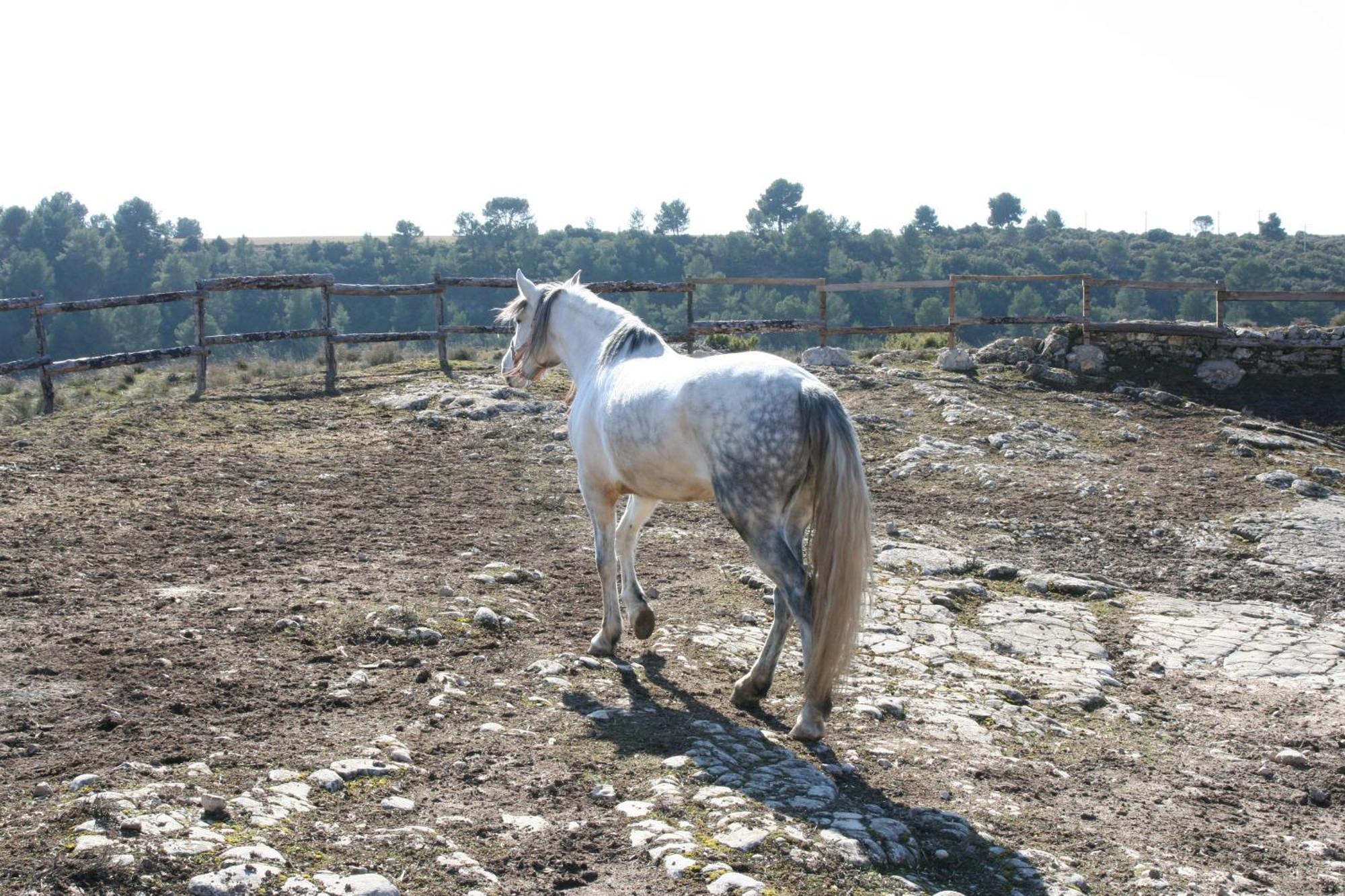 La Posada Del Hidalgo De อลาร์กอน ภายนอก รูปภาพ