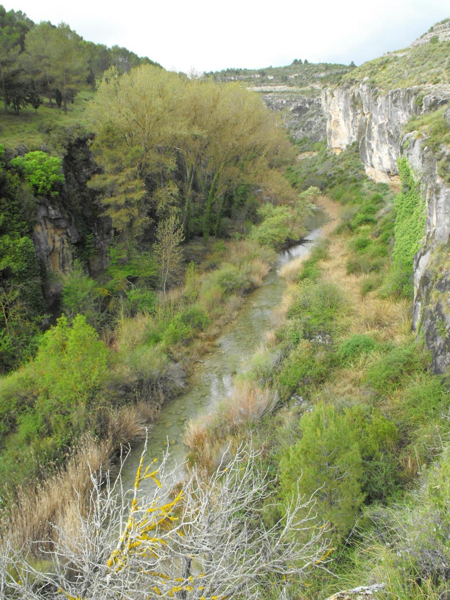 La Posada Del Hidalgo De อลาร์กอน ภายนอก รูปภาพ